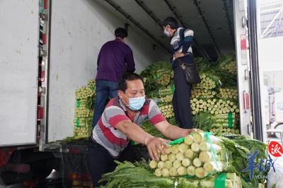 廣州伸援手，助力湖北滯銷農副產品順利銷售