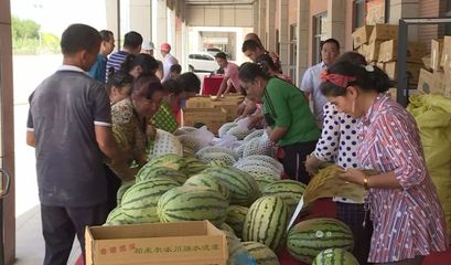 白云人組團采購逾1.5萬個新疆西瓜，愛心接力解滯銷燃眉之急